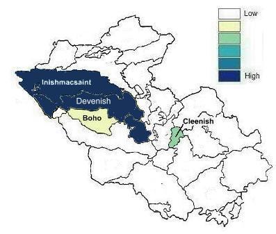 Distribution