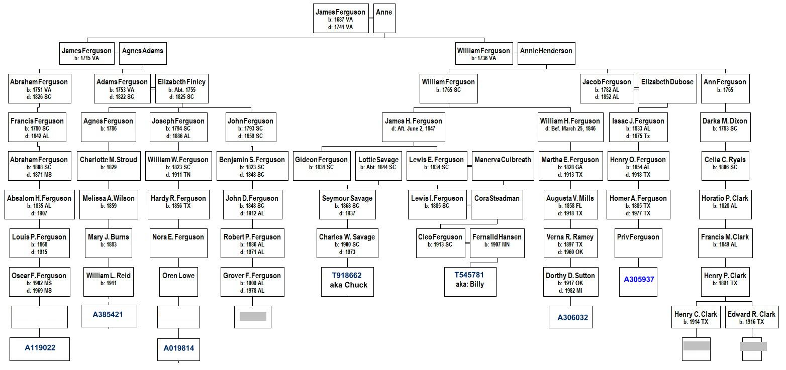 Family Tree